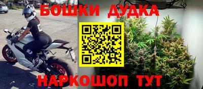 PSILOCYBIN Можга