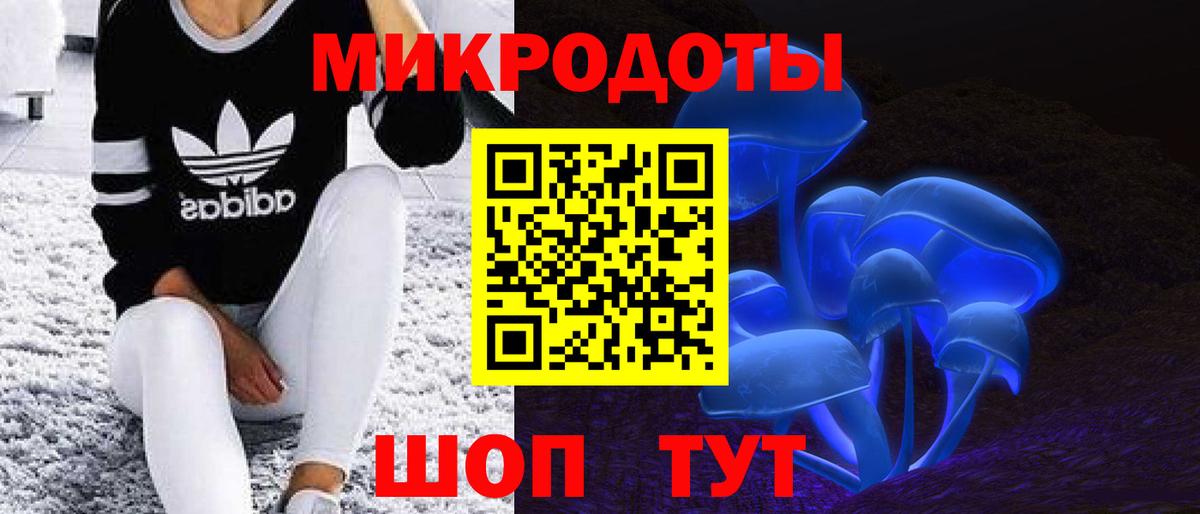 Брянск  Псилоцибиновые грибы ЛСД  Вход с VPN 